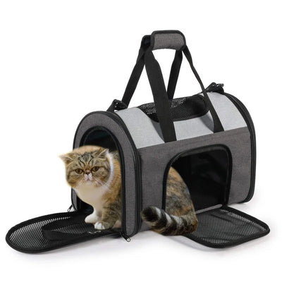 Collapsible Pet Carrier