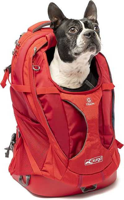 Kurgo G-Train Dog Carrier Backpack - Comfortable Travel Bag - Waterproof Armorsole Base - Convertible Backpack to Carrier - Padded Laptop Compartment - Hands-Free Pet Travel Backpack