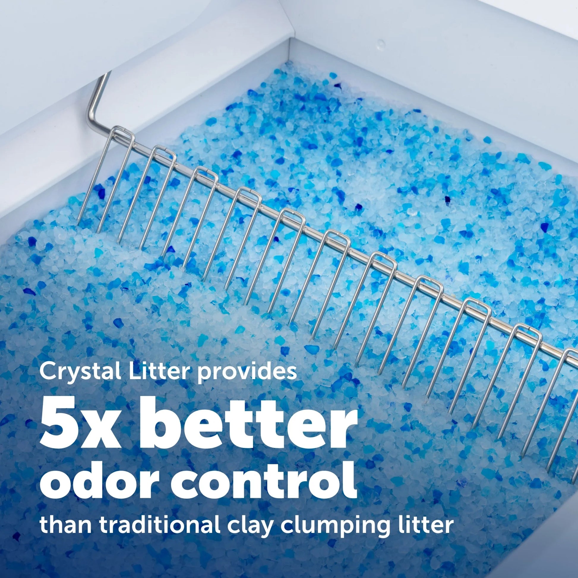 Petsafe Scoopfree Crystal Pro Legacy Self-Cleaning Cat Litter Box, Automatic, Not Enclosed, Gray