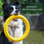 EVA Durable Dog Toys 4 Pack Flying Disc + Ball + Tug Rope for Puppy&Adult Dogs Chew-Proof Teeth Cleaning Set（2024 Best Seller）