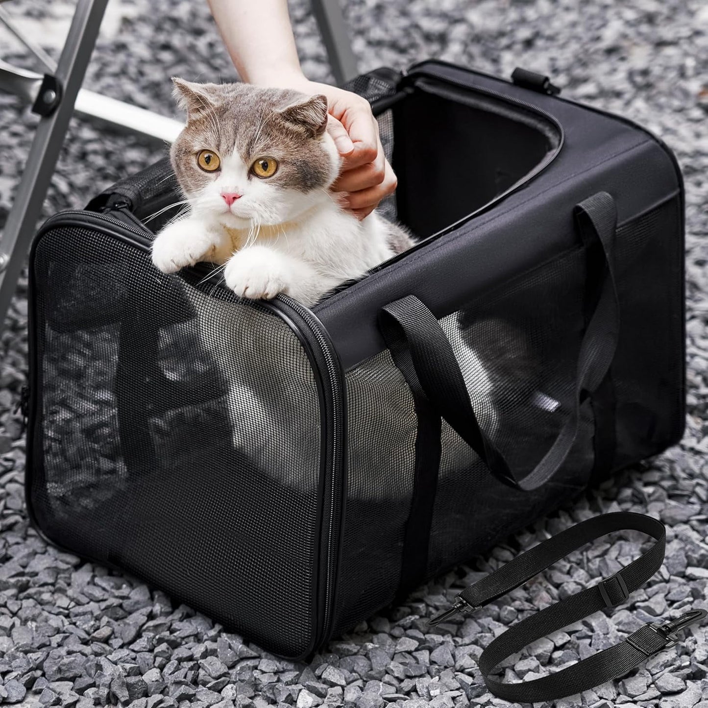 Conlun Cat Carrier,Soft-Sided Cat Carriers with 4-Sided Mesh,Airline Approved Pet Transport Carrier,Collapsible Cat Travel Carrier-Black