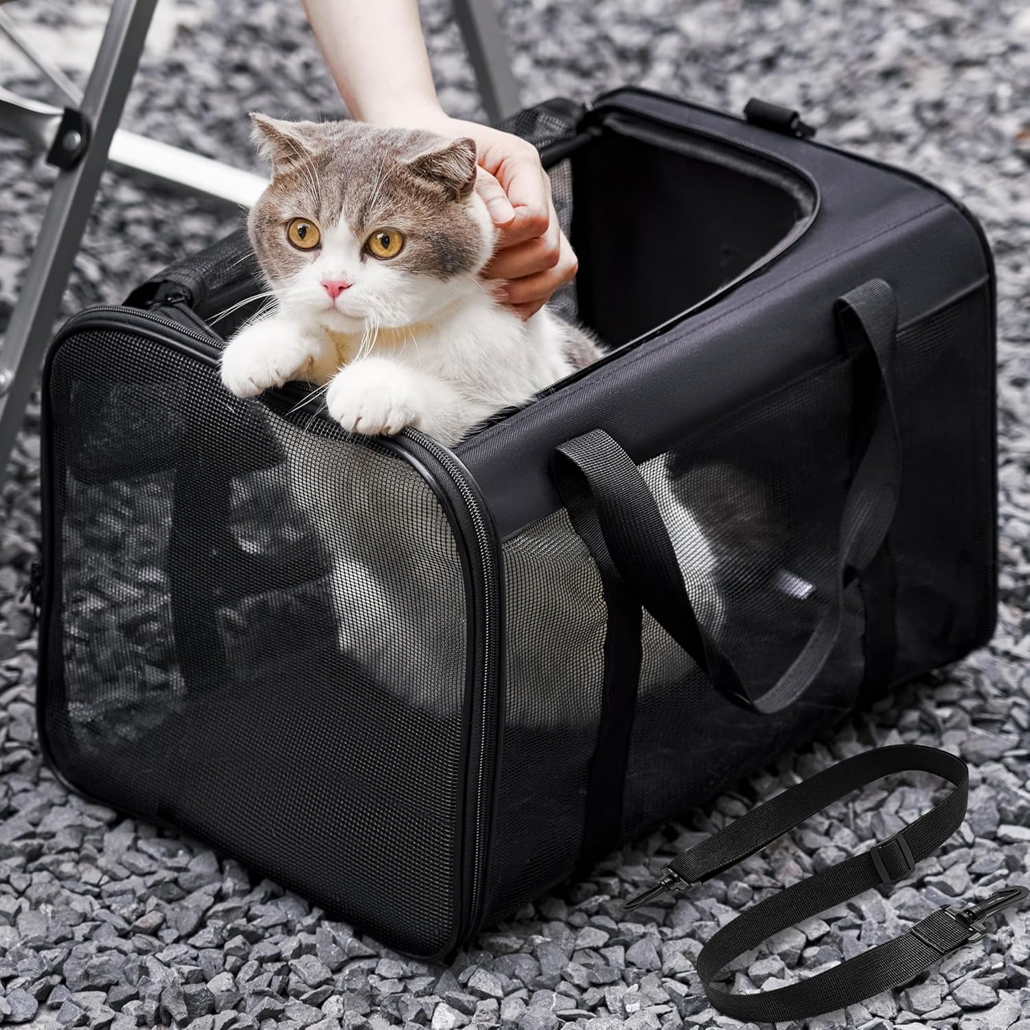 Conlun Cat Carrier,Soft-Sided Cat Carriers with 4-Sided Mesh,Airline Approved Pet Transport Carrier,Collapsible Cat Travel Carrier-Black