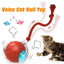 New Cat Interactive Ball Toy,Automatic Rolling Cat Ball Rechargeable,Smart Kitten Interactive Toy,Intelligent Balls Toy for Cat