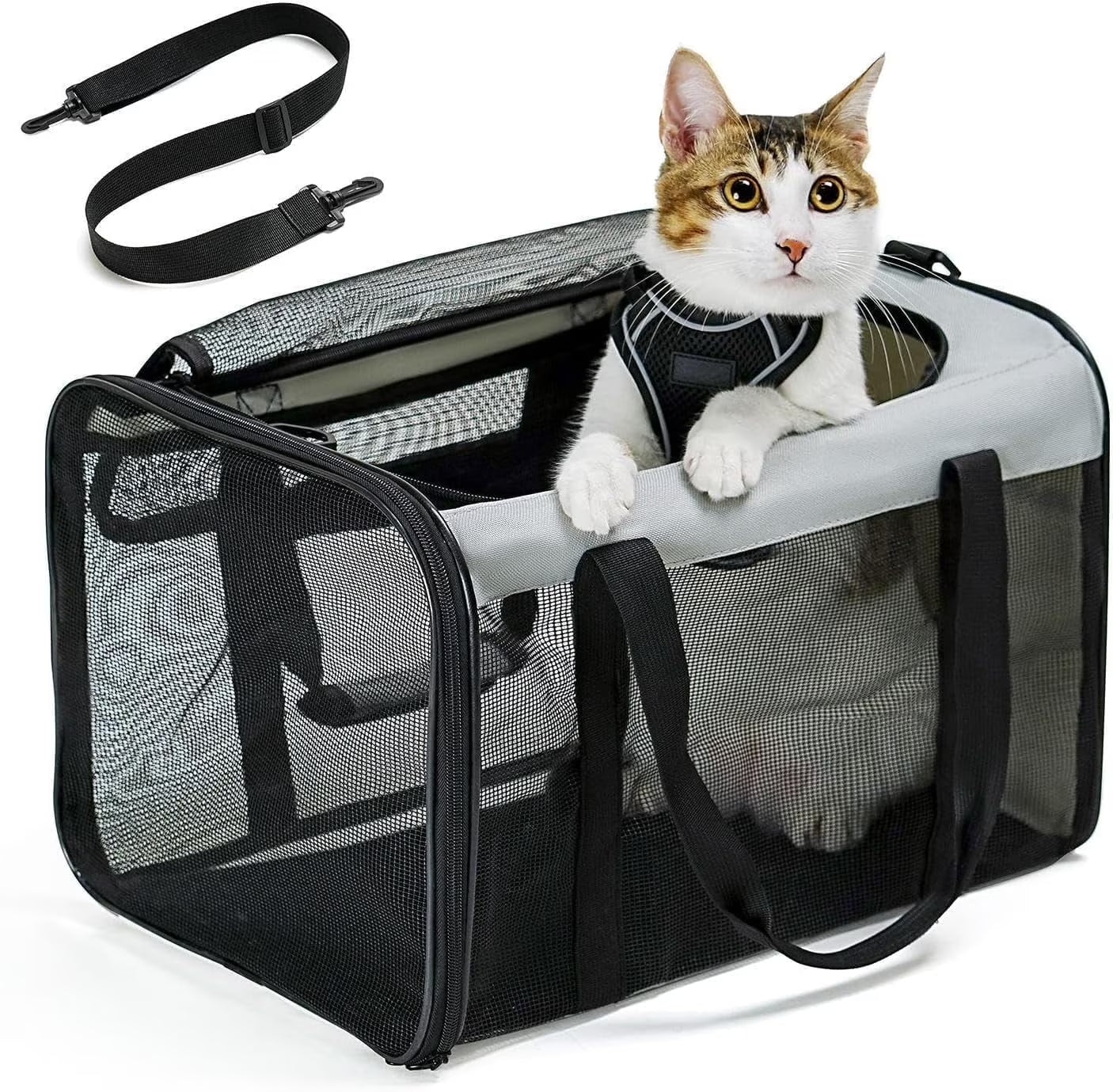 Conlun Cat Carrier,Soft-Sided Cat Carriers with 4-Sided Mesh,Airline Approved Pet Transport Carrier,Collapsible Cat Travel Carrier-Black