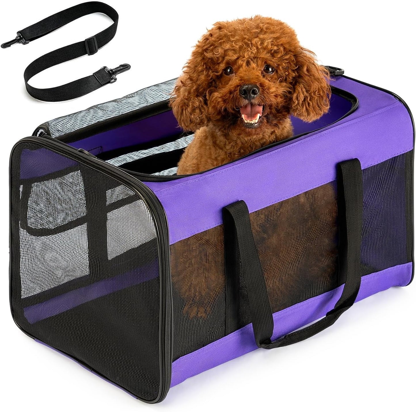 Conlun Cat Carrier,Soft-Sided Cat Carriers with 4-Sided Mesh,Airline Approved Pet Transport Carrier,Collapsible Cat Travel Carrier-Black