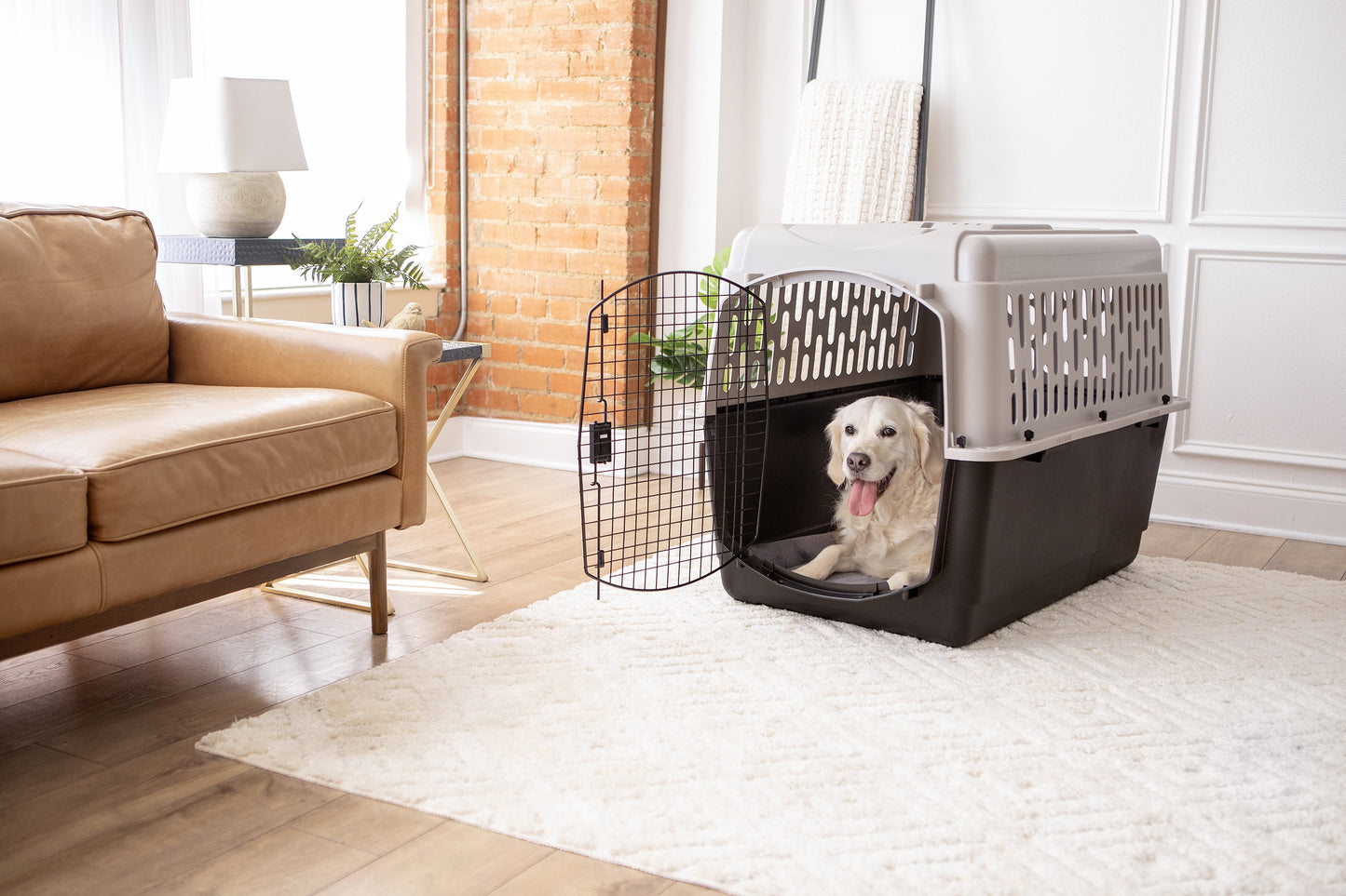 Vibrant Life Pet Portable Kennel for Dogs, Hard-Sided Travel Carrier, Durable, Metal Door, Black & Grey, for Pets 70-90 Lbs, 40" L X 27" W X 30" H