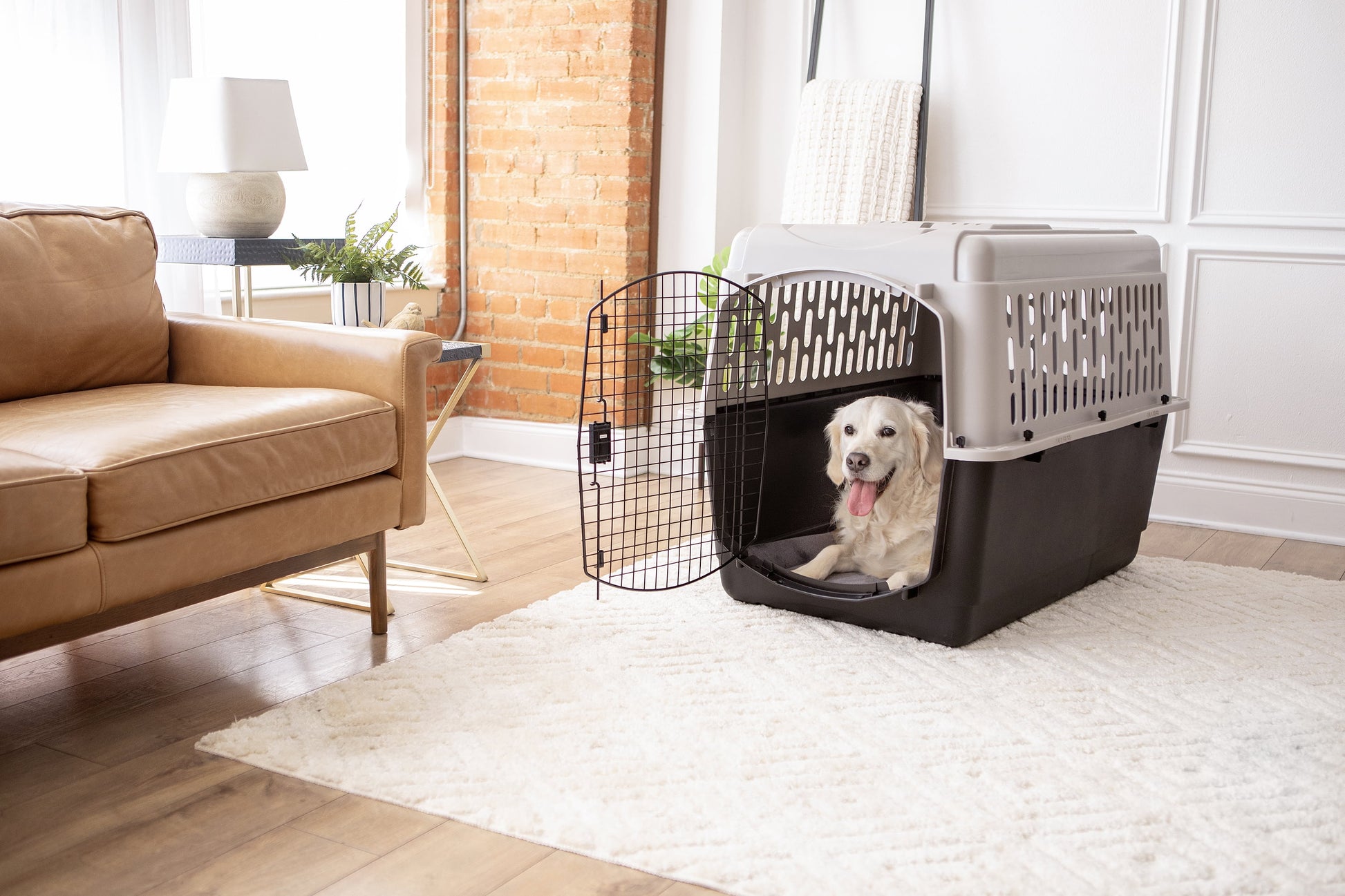 Vibrant Life Pet Portable Kennel for Dogs, Hard-Sided Travel Carrier, Durable, Metal Door, Black & Grey, for Pets 70-90 Lbs, 40" L X 27" W X 30" H