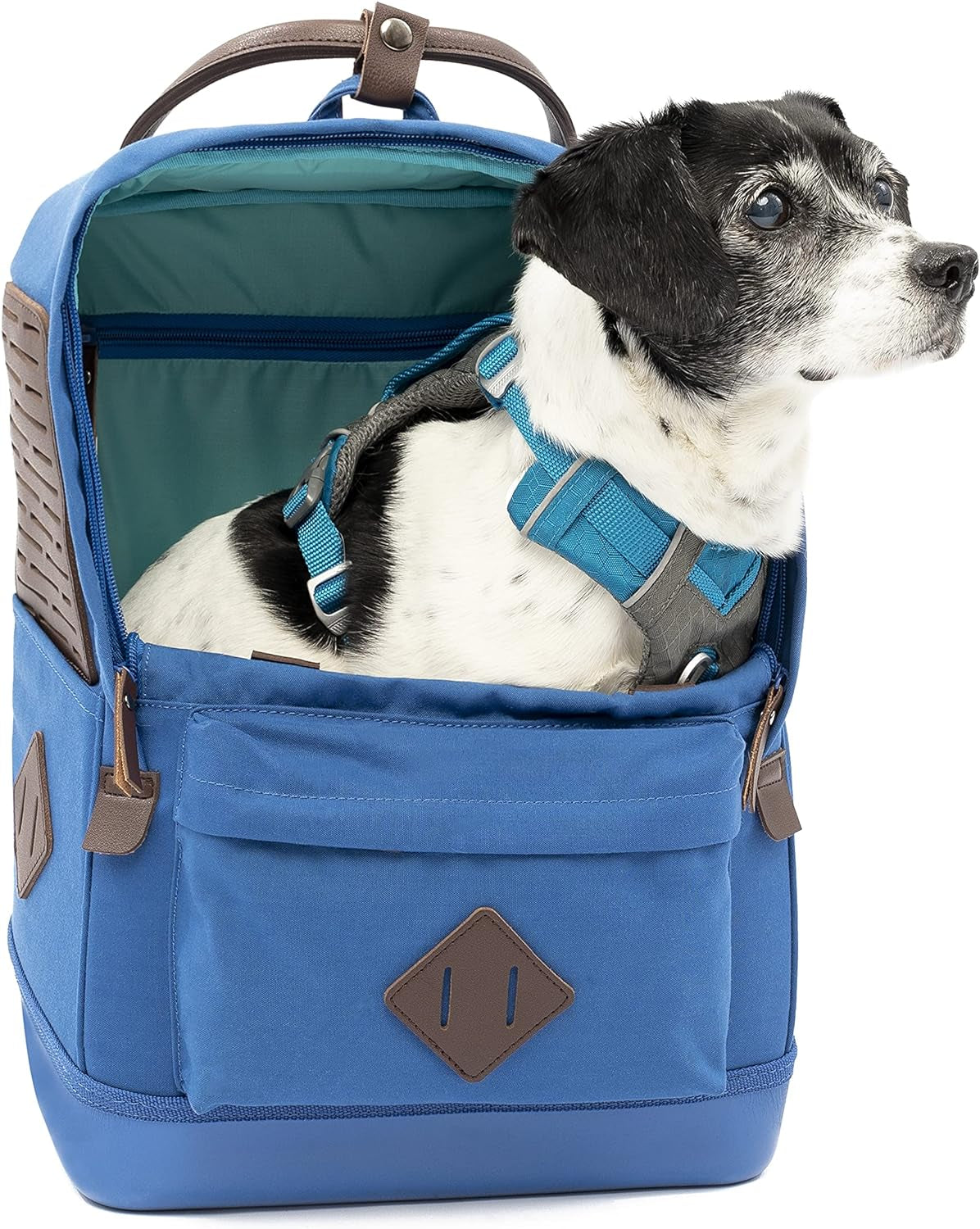Kurgo Nomad Carrier Backpack - Airline Approved Dog Bag for Travel - Stylish Pet Backpack with Waterproof Bottom - Lightweight for Hiking - Small Breed Dog Carrier with Tablet Sleeve - Blue