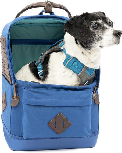 Kurgo Nomad Carrier Backpack - Airline Approved Dog Bag for Travel - Stylish Pet Backpack with Waterproof Bottom - Lightweight for Hiking - Small Breed Dog Carrier with Tablet Sleeve - Blue