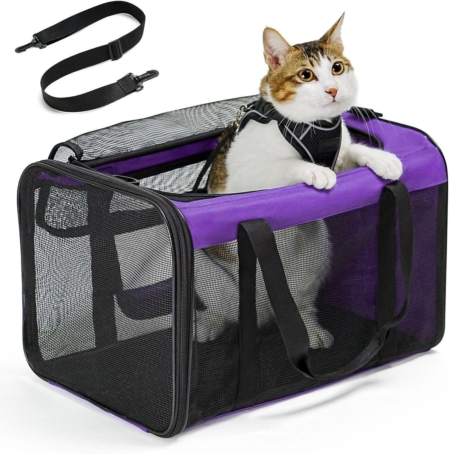Conlun Cat Carrier,Soft-Sided Cat Carriers with 4-Sided Mesh,Airline Approved Pet Transport Carrier,Collapsible Cat Travel Carrier-Black